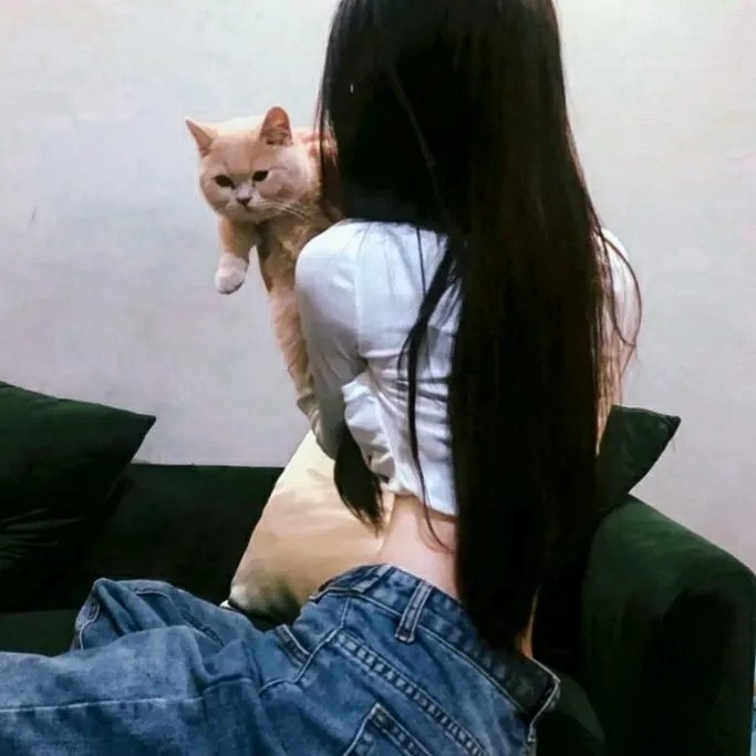 泰迦奥特曼